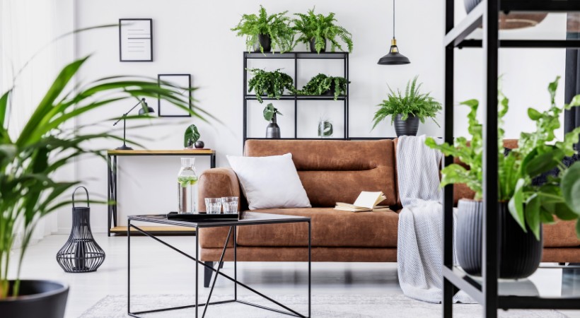 Jungle urbaine : adoptez le style tropical et chic